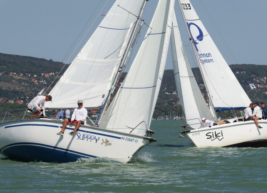 Eredményesen zárult a Dolphin bajnokság