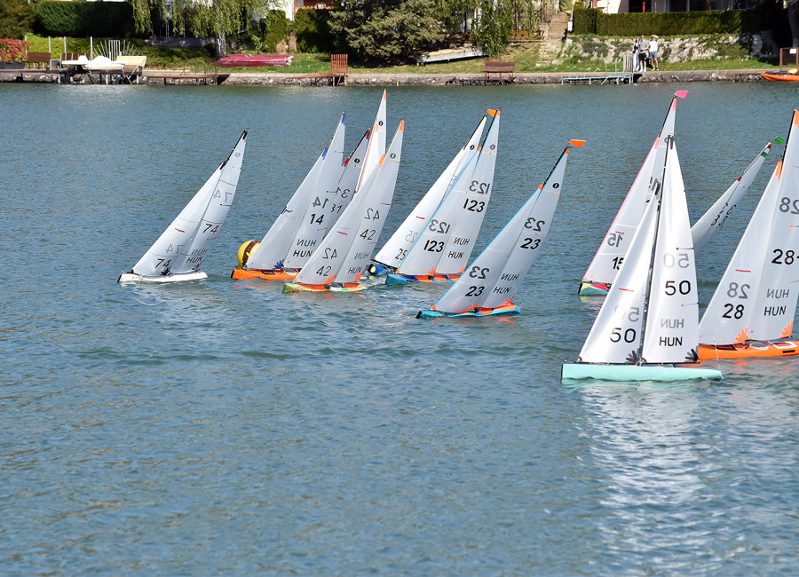 Medvehagyma Regatta 2026.